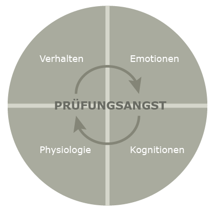 Strukturbaum Grafik Supervision