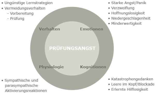 Strukturbaum Grafik Supervision
